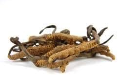 Hanah Organic Pure Cordyceps, Hand Harvested in Bhutan, 30 ct Capsules