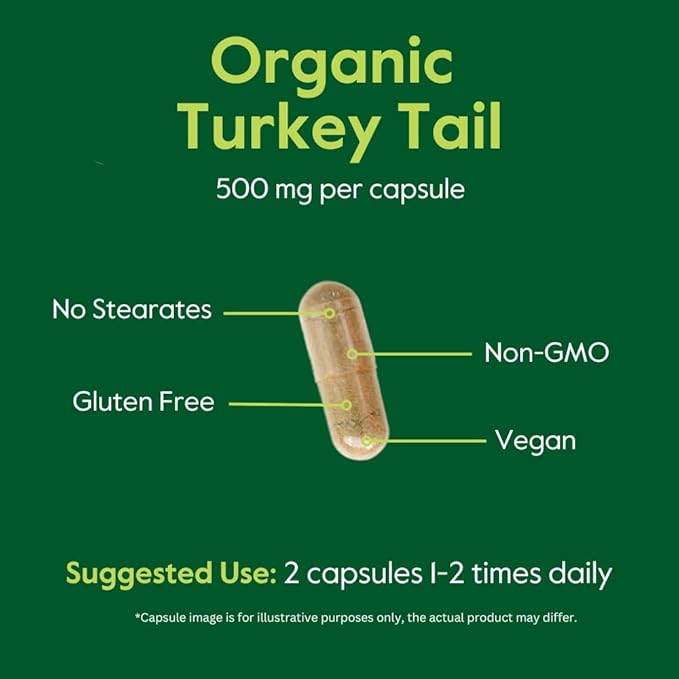 Organic Turkey Tail 500mg (120 Veggie Capsules) - No Stearates - Vegan - Non GMO - Gluten Free - Certified Organic Turkey Tail