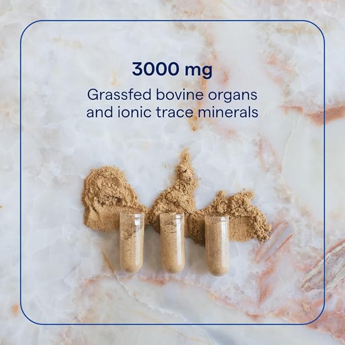 Trace Minerals Beef Organ, 600mg - Bone & Energy Health Support Supplement - Nutritional Supplement Aids Healthy Organs - Healthy Hearth & Immunity Support with Minerals - 180 Capsules (30 Servings)