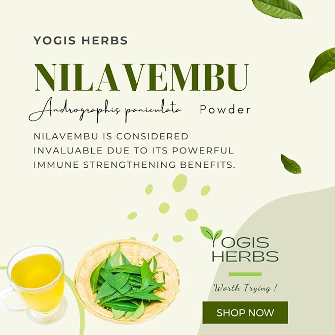 Nilavembu Powder – Andrographis paniculata (Green Chiretta/Kalmegh) – 100% Natural & Pure Herbal Supplement for Natural Immune Support, Liver Health Support & Digestive Wellness (3.5 oz)