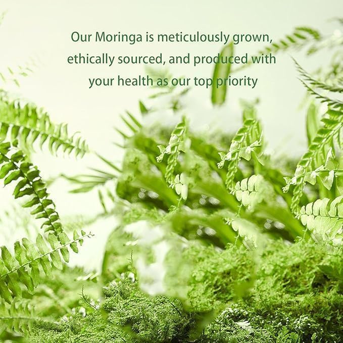 Organic Moringa Capsules 90ct - Natural Energy & Antioxidant Supplement with Vitamins - Vegan, Non-GMO (1PCS)