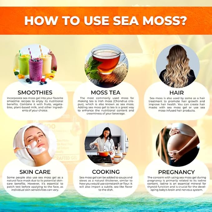 Irish Sea Moss Gel Raw - Wildcrafted Superfood Seamoss Gel - Pineapple Mango Flavor, Vitamin and Mineral-Rich from Pristine Caribbean Waters - 10 oz.