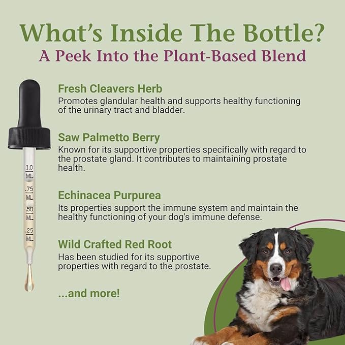 PetAlive ProsPet Drops for Pet Prostate and Bladder Health - Herbal Supplement for Dog Urinary Tract, Bladder and Immune Support - Constipation Relief - 59 ml