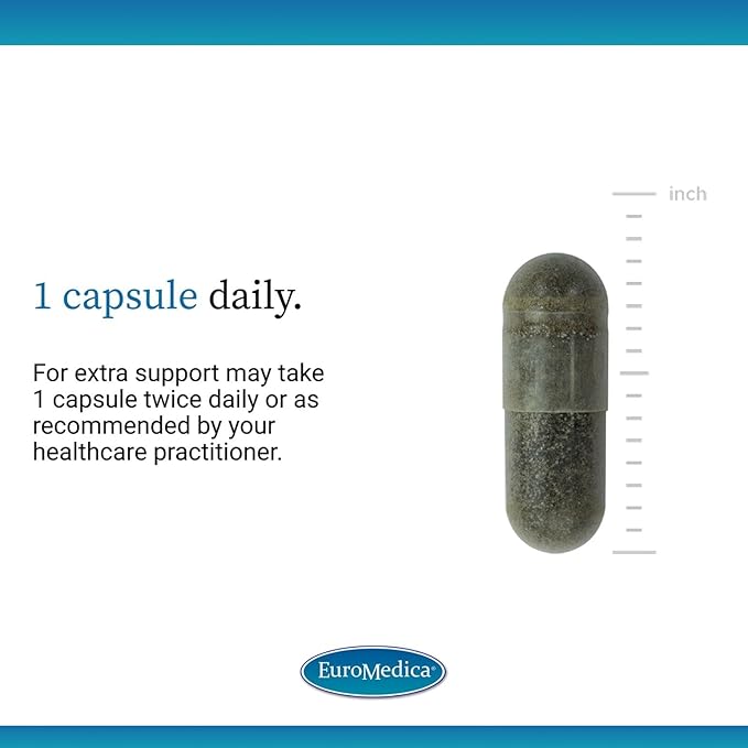 EuroMedica Andrographis EP80 - Supplement for Brain Health & Immune Support - Joint Health Support Supplement to Aid Mobility - Vegan Adaptogen Supplement for Energy & Liver Support - 60 Capsules