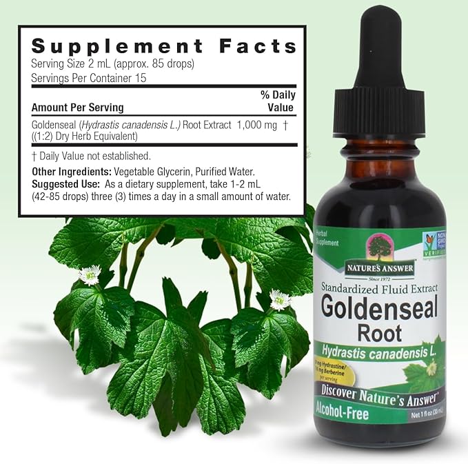 Nature's Answer Goldenseal Root | Herbal Supplement | Supports A Healthy Immune System | Gluten-Free & Alcohol-Free 1oz (2 Pack)