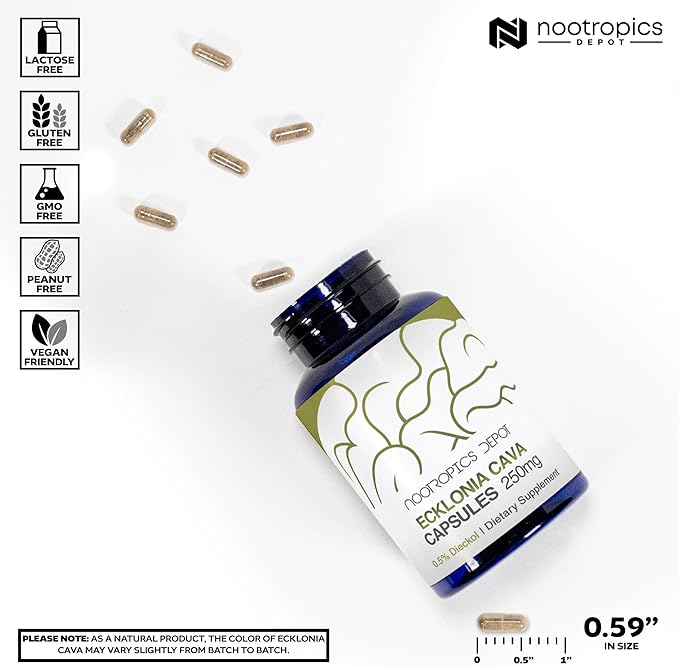 Nootropics Depot Ecklonia cava Capsules | 250mg | 0.5% Dieckol | Brown Seaweed | 120 Count