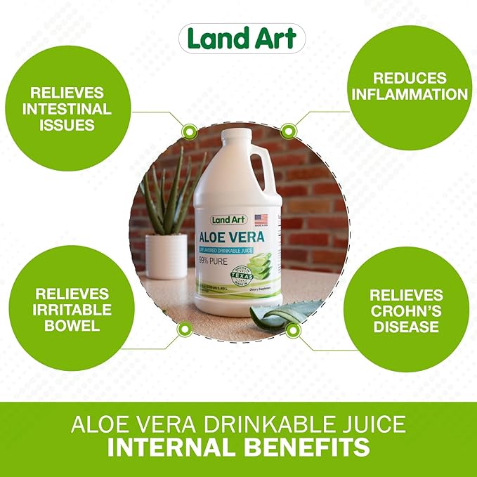 Pure Aloe Vera Juice Unflavored – Cold-Processed - 99.7% Organic Aloe Vera Inner Fillet from Fresh Texas Leaves – Digestive Health, Detox and Natural Wellness – 64 fl oz (Pack of 2)