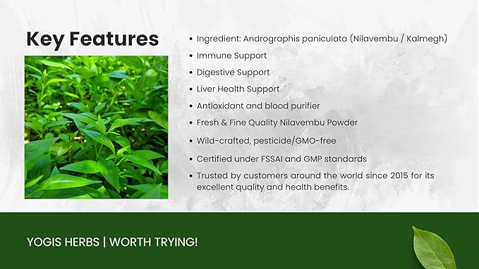 Nilavembu Powder – Andrographis paniculata (Green Chiretta/Kalmegh) – 100% Natural & Pure Herbal Supplement for Natural Immune Support, Liver Health Support & Digestive Wellness (3.5 oz)