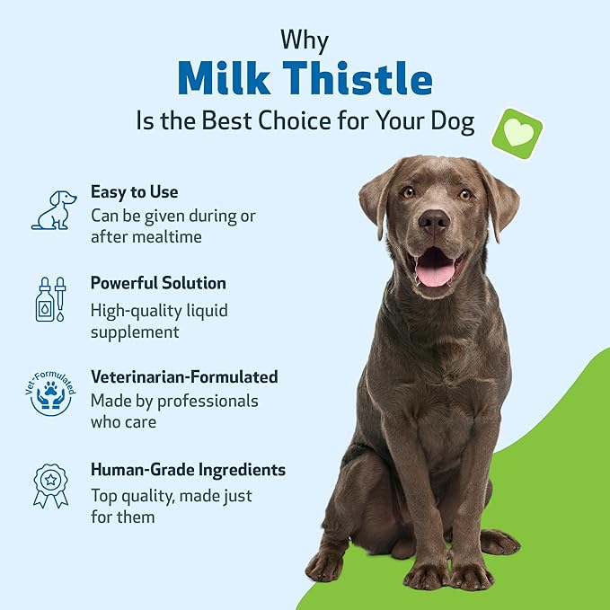 Pet Wellbeing Milk Thistle for Dogs - Organic, Supports Liver Health, Healthy Detoxification, Antioxidants, Liver Cell Support, Silymarins - Veterinarian-Formulated Herbal Supplement 2 oz (59 ml)