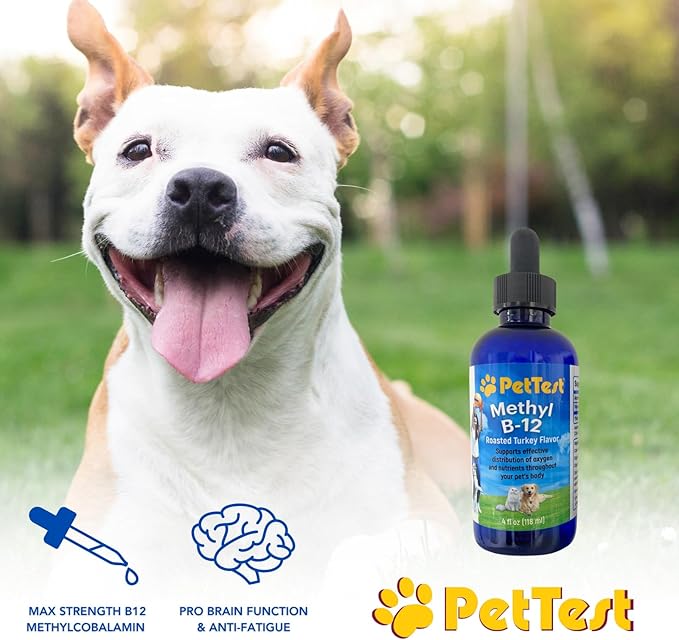 PetTest Methyl B12 Vitamin Liquid Drops 4fl oz (5000 MCG) Supplement with Methylcobalamin for Diabetic Pets, Maximum Absorption to Increase Energy for Dogs and Cats