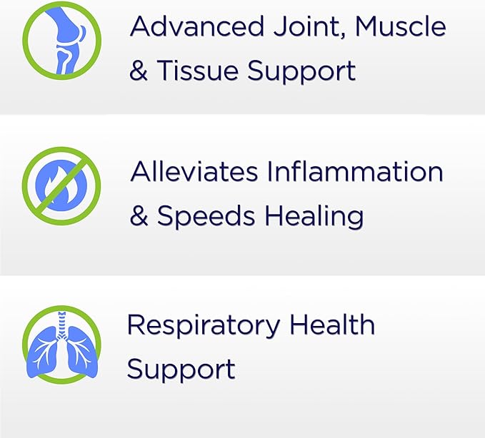 Proteolytic Enzymes 3X - Trypsin, Chymotrypsin & Serrapeptidase - Reduces Edema & Irritation from Tissue Injury - Supports Body Wellness & Recovery - Dietary Supplement - 90 Capsules