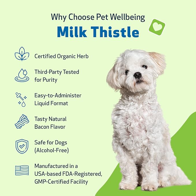 Pet Wellbeing Milk Thistle for Dogs - Organic, Supports Liver Health, Healthy Detoxification, Antioxidants, Liver Cell Support, Silymarins - Veterinarian-Formulated Herbal Supplement 4 oz (118 ml)