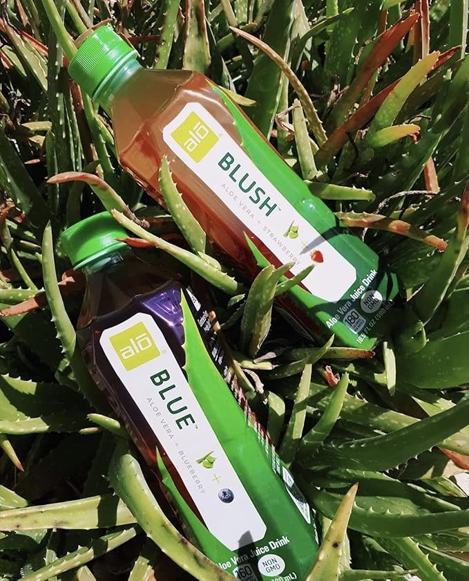 ALO Aloe Vera Juice Drink | BLUSH - Aloe Vera + Strawberry | 16.9 fl oz, Pack of 12 | Plant-Based Drink with Real Aloe Pulp