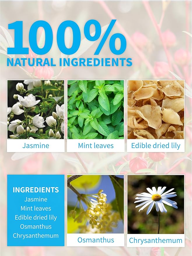 TeeLux Mint Jasmine Tea, 3g/bag, Mint with Jasmine, Lily, Osmanthus, Chrysanthemum, Fresh & Refreshing Flavor, Caffeine Free, 30 Count