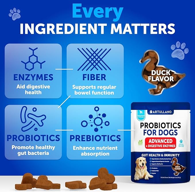 Probiotics for Dogs - Support Gut Health, Itchy Skin, Allergies, Immunity, Yeast Balance - Dog Probiotics and Digestive Enzymes with Prebiotics - Reduce Diarrhea, Gas - 70 Probiotic Chews for Dogs