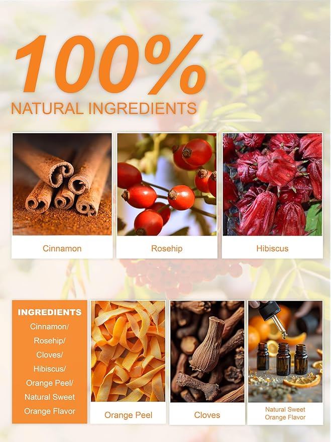 TeeLux Orange Spice Tea, Blended Rosehips with Cinnamon & Hibiscus, Refreshing & Soothing Taste, Caffeine Free, 50 Count