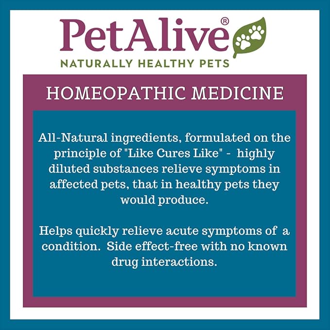 PetAlive Muscle and Joint Support-M - Natural Homeopathic Formula for Joint Pain and Stiffness in Pets - Supports Joint Health and Movement in Dogs and Cats - 59 mL