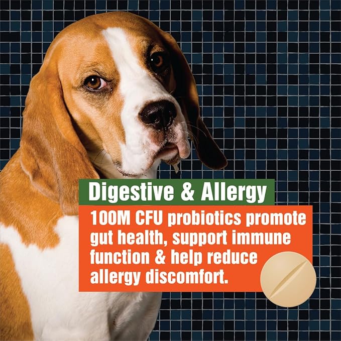 Army Soldier Owned Dog Probiotics for Yeast, Itchy Skin & Itchy Ears, Dog Allergy Relief, Digestive Health, Occasional Diarrhea & Immune Support, 60 Yummy Chewables