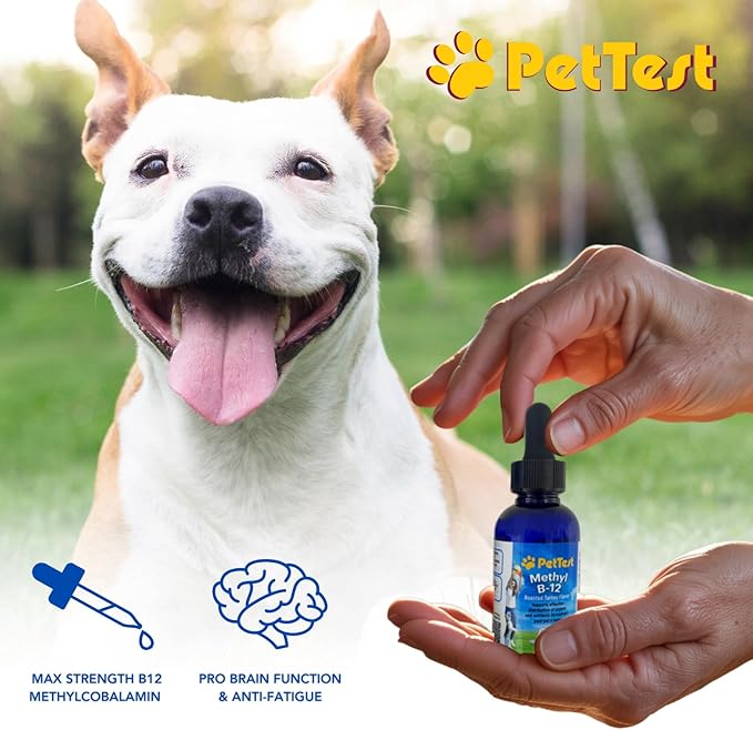PetTest Methyl B12 Vitamin Liquid Drops 2fl oz (5000 MCG) Supplement with Methylcobalamin for Diabetic Pets, Maximum Absorption to Increase Energy for Dogs and Cats