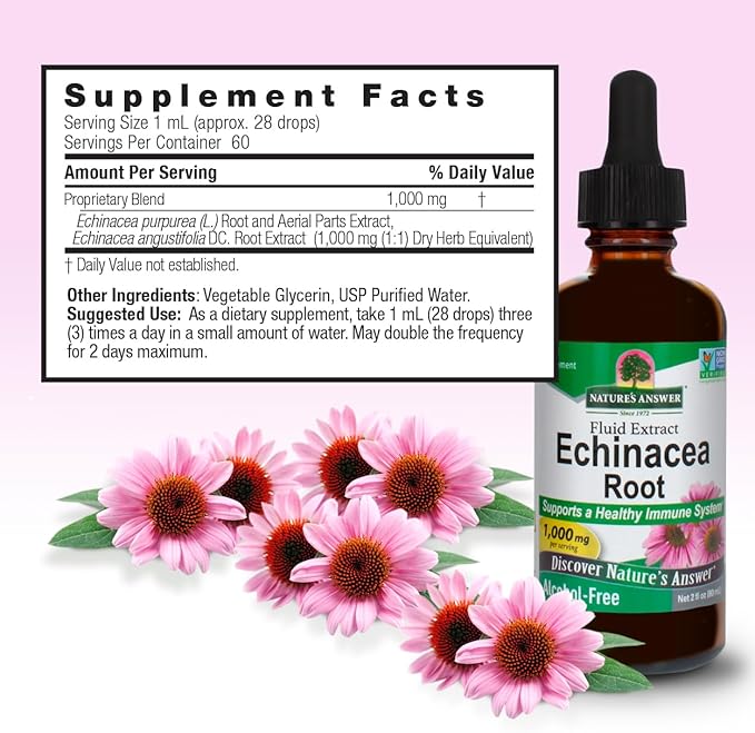 Nature's Answer Echinacea Extract | Supports a Healthy Immune System | Vegan, Gluten-Free, Alcohol-Free, Non-GMO & Kosher Certified | 2oz