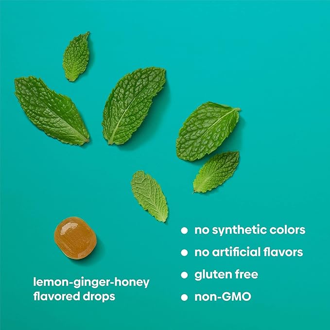 UpSpring Stomach Settle Drops for Occasional Nausea Relief, Upset Stomach and Motion Sickness with Ginger, Lemon, Spearmint and B6, Mint Flavor Drops, 56ct (Pack of 2)