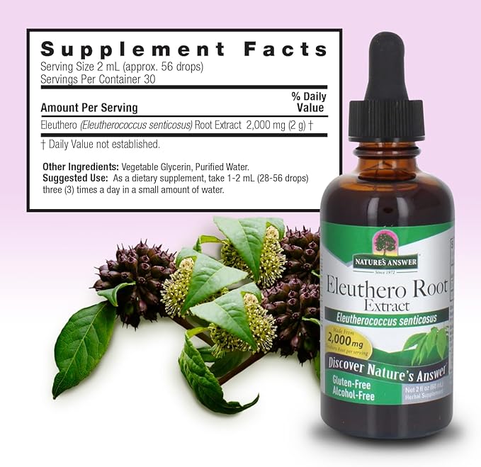 Nature's Answer Alcohol-Free Eleuthero Root, 2-Fluid Ounces | Vegan | No Preservatives Gluten Free Eleuthero Extract