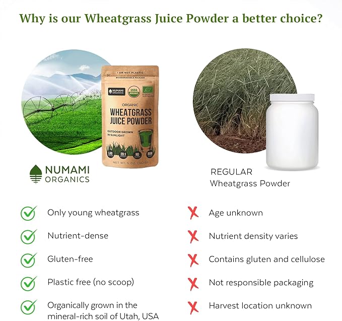 Numami Organic Wheatgrass Juice Powder - 100% Water Soluble, Grown in USA and USDA Certified Organic, 20 Times More Concentrated Than Raw Wheatgrass
