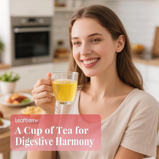 Hawthorn Apple DigestionTea Bags for Balance Stress Relief,Detox Cleanse Tea, Leafberry Herbal Tea Bag Sampler Barley malt Peeled lotus seeds Dried apples, Red dates Healthy Tea Gift Box 10 Bags