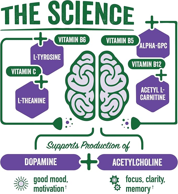 BrainJuice Brain and Immune Support Shot, Gluten Free Supplement Shots for Energy, Focus, Immunity with Vitamin D, C, B, Alpha GPC & Organic Ginger Root, Huckleberry Hibiscus, 2.5 fl oz, 12 Pack