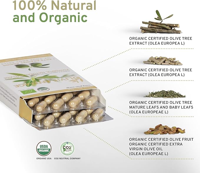 Organic Antioxidant Polyphenols Rich Olive Leaf Extract Supplement Capsules Olivie | Hydroxytyrosol Oleuropein Anti Aging Supplement | 40 Capsules
