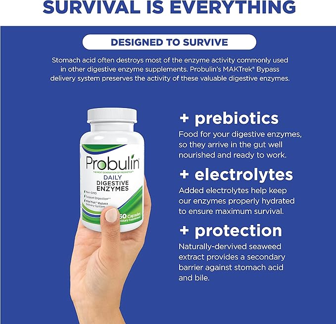 Probulin Daily Digestive Enzymes - Plant-Based Enzymes to Support Digestive Comfort, 60 Vegan Capsules