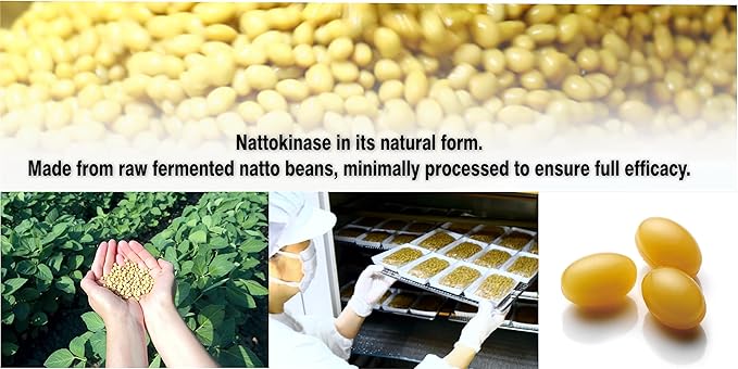 PHARMAKON Natural Nattokinase Organic Fermented Soybean Extract, 6000 FUs per Serving