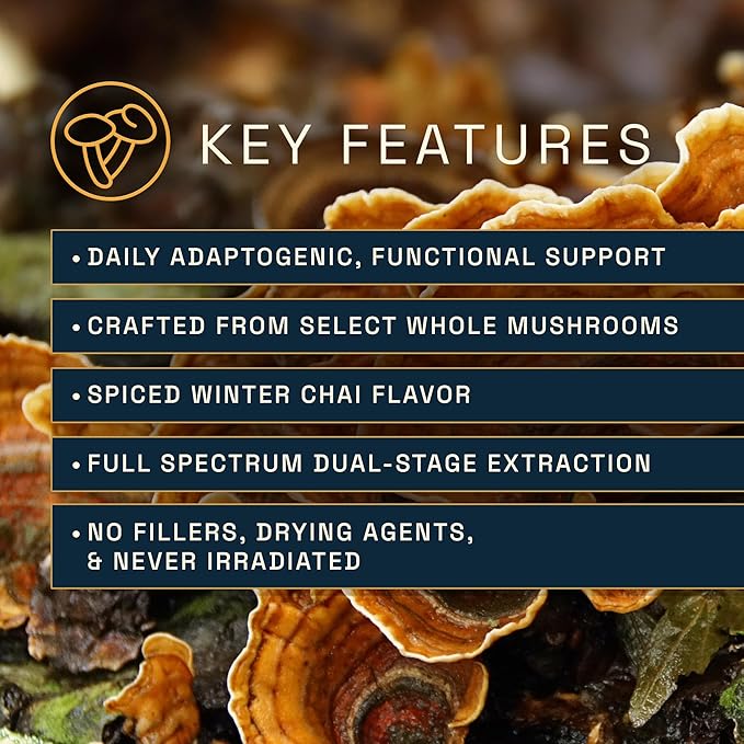 Twelve Rivers Functional Mushroom MycoMedic Elixir Tincture – 1:2 True Dual-Stage Extraction – Spiced Winter Chai – 4 Fluid Ounce Bottle