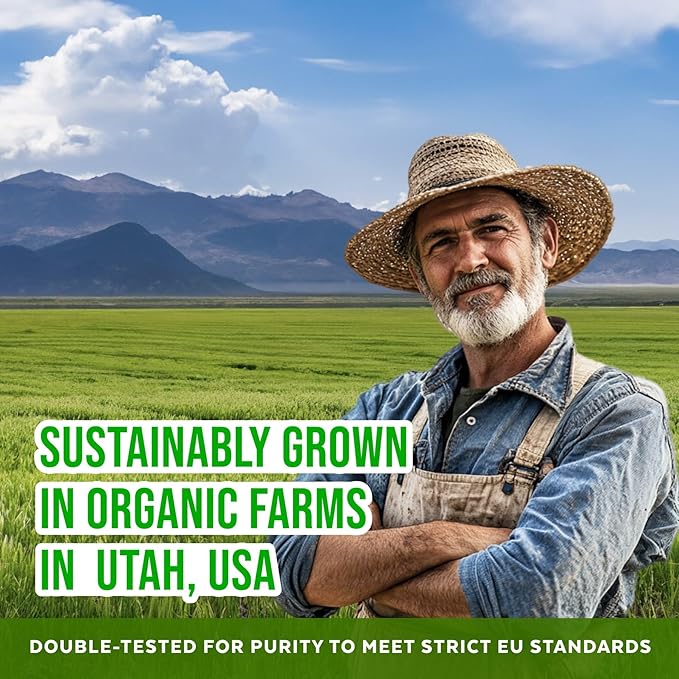 Numami Organic Barley Grass Juice Powder, Grown in USA, Pure Raw and Water Soluble, Add to Your Smoothie or Drink as a Juice