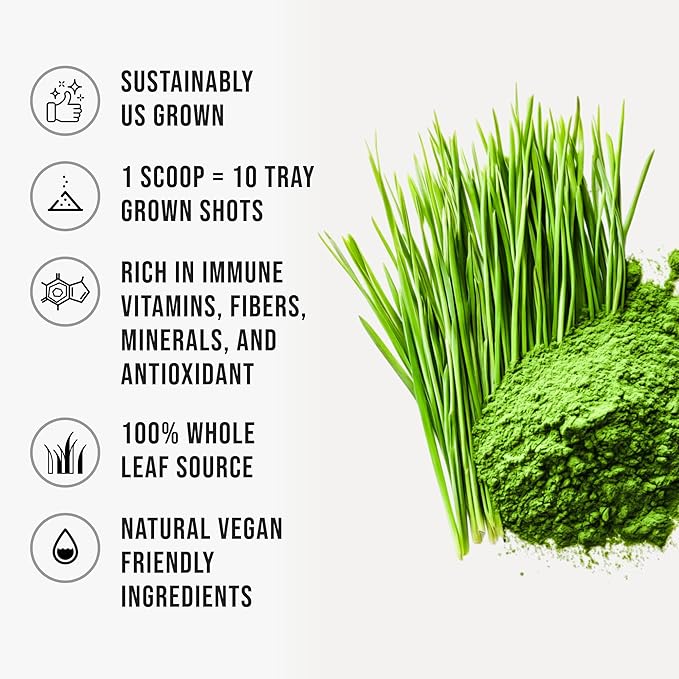 Wheatgrass Powder 100% Pure Whole-Leaf Wheatgrass Powder, Nutrient-Rich Green Wheat Grass Superfood Premium for Smoothies Juices & Wellness Support, Gluten Free Vegan Non-GMO 510g