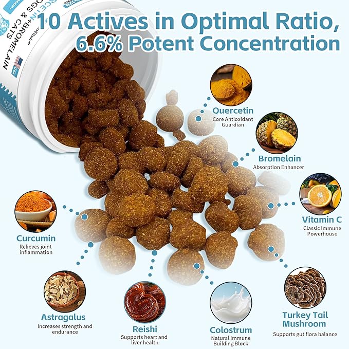 Nutrition Strength Quercetin for Dogs with Bromelain to Support Balanced Immune System, Promote Inflammatory Relief & Antioxidant Activity, Quercetin for Dog Allergies, 120 Chewable Tablets