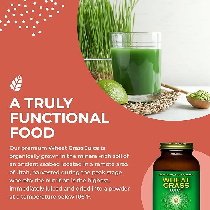 HealthForce SuperFoods Wheat Grass Juice Powder - 8 oz Powder