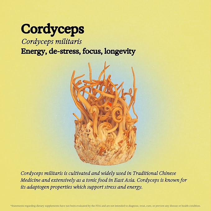 Cordyceps Mushroom Tincture - Alcohol Free - Dual Extract Mushroom Supplement - Immune Support, Energy, Liquid Cordyceps Supplement, Vegan, Non GMO, 3.4 fl oz