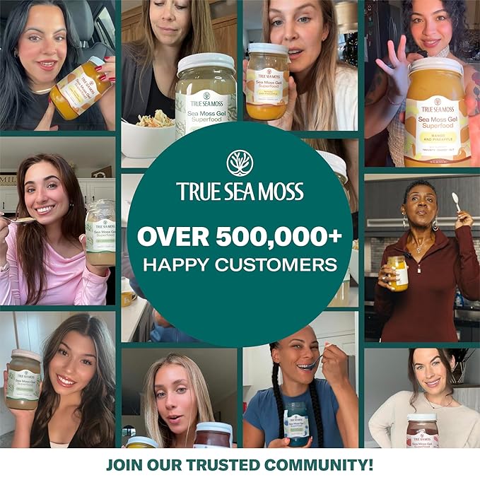 TrueSeaMoss Sea Moss Gel – Made in USA – Wildcrafted Seamoss, Fresh Fruits & Sea Vegetables – Elderberry, Pack of 1 (Labels may Vary)