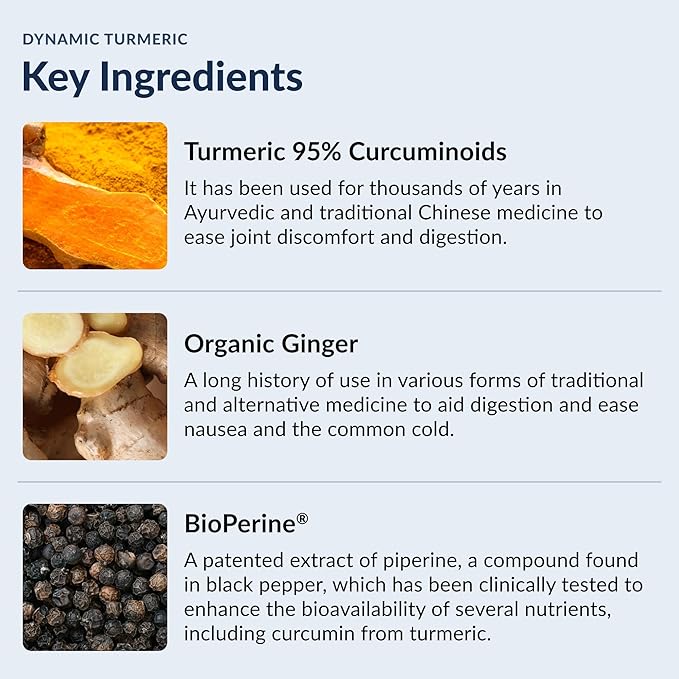 Stonehenge Health Dynamic Turmeric Curcumin with Ginger - High Potency - 1,650 mg Turmeric with 95% Curcuminoids & BioPerine, 90 Vegetarian Capsules