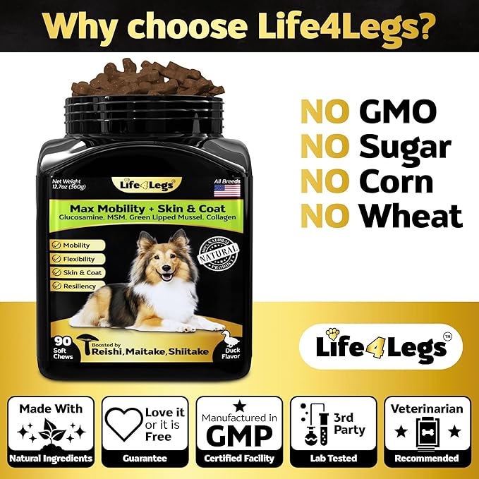 Hip and Joint Chews for Dogs Plus Skin and Coat Supplement - Dog Joint Pain Relief Treats - Glucosamine, Chondroitin, MSM, Hemp Oil, Turmeric, Omega 3 for Dogs, Mobility Bites Dog Health