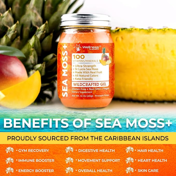 Irish Sea Moss Gel Raw - Wildcrafted Superfood Seamoss Gel - Pineapple Mango Flavor, Vitamin and Mineral-Rich from Pristine Caribbean Waters - 10 oz.