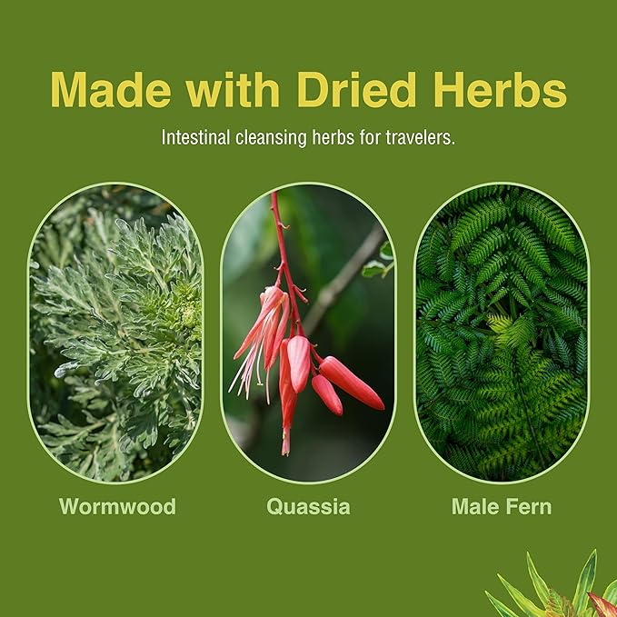Herbs Etc. ParaFree - Gastrointestinal Support Supplement to Aid Intestinal Cleansing - Digestive Herbal Supplement with Wormwood, Quassia & Male Fern - 60 Softgels (60 Servings)