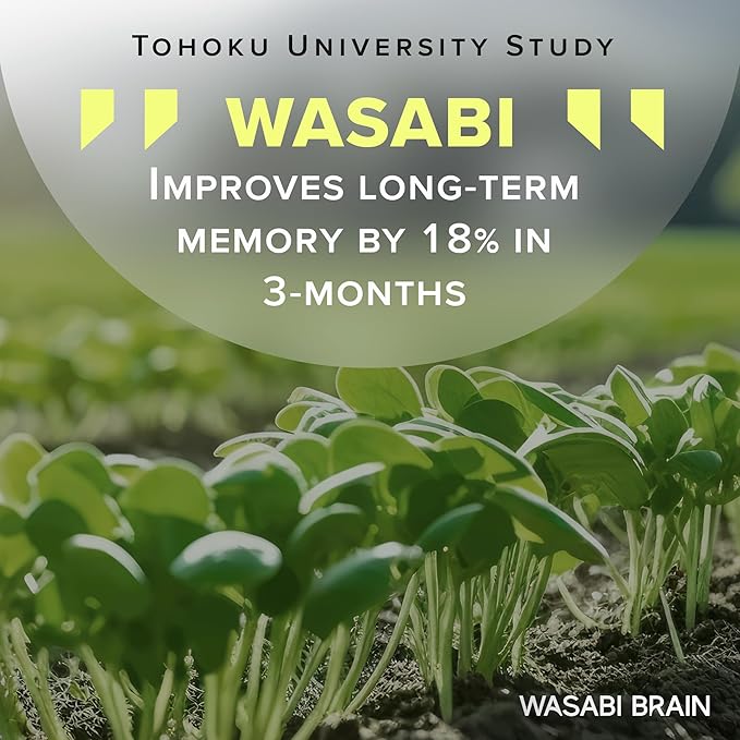 Organic Wasabi Extract + Zingserine Cognition (2 Month Supply) The Most Targeted Memory Supplement - Superior Clinical Evidence to Vinpocetine, Apoaequorin, Nuriva, Prevegen & Ginkgo