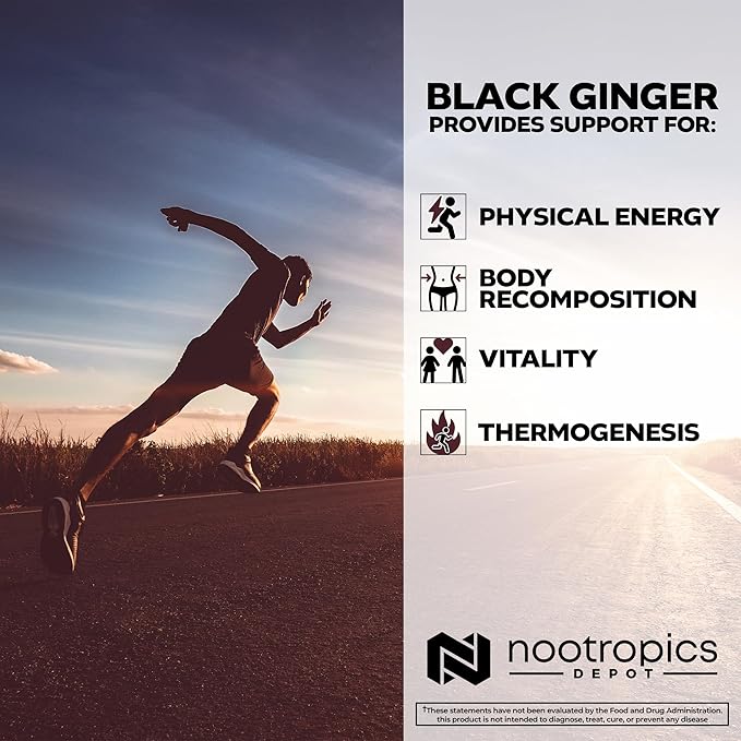 Nootropics Depot Black Ginger Extract Capsules | 10% 5,7-dimethoxyflavone | 60 Count