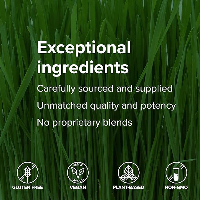 Vibrant Health, Maximum Vibrance, Complete Vegan Meal Shake with Plant-Based Protein, Chocolate Chunk, 15 Servings