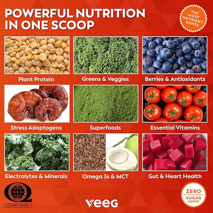 Veeg All in One Protein Smoothie Powder – Plant Based Protein, Vegan Collagen, MCT Oil Organic, Multivitamin, Greens Superfood Powder, Meal Replacement, Probiotics, Sugar Free,15 Servings (Chocolate)