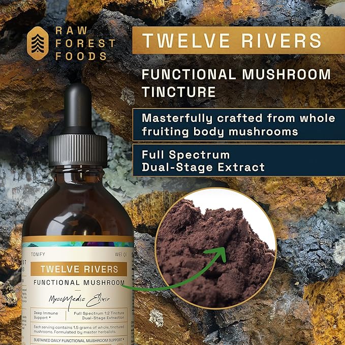Twelve Rivers Functional Mushroom MycoMedic Elixir Tincture – 1:2 True Dual-Stage Extraction – Spiced Winter Chai – 4 Fluid Ounce Bottle