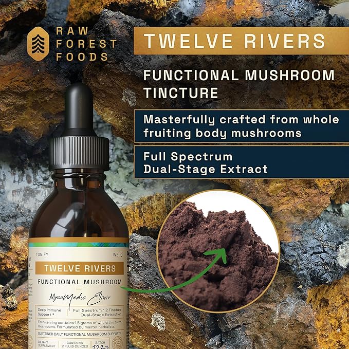 Twelve Rivers Functional Mushroom MycoMedic Elixir Tincture – 1:2 True Dual-Stage Extraction – Spiced Winter Chai – 2 Fluid Ounce Bottle