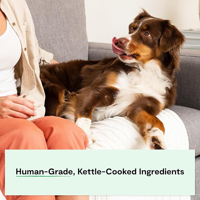 Open Farm Rustic Stews Wet Dog Food, Grain-Free, Complete & Balanced with Human-Grade Ingredients, Humanely-Raised Meat & Bone Broth, Wild-Caught Salmon Recipe, 12.5oz Packs (Case of 12)